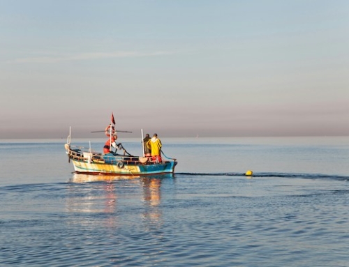 Je m’en vais à la pêche… Nous aussi… – Message du 04/05/2025